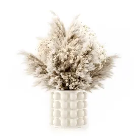 Stuffpampas in a bubble pot